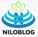 مدیریت فرآیند پارس